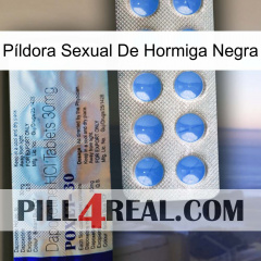 Píldora Sexual De Hormiga Negra 39